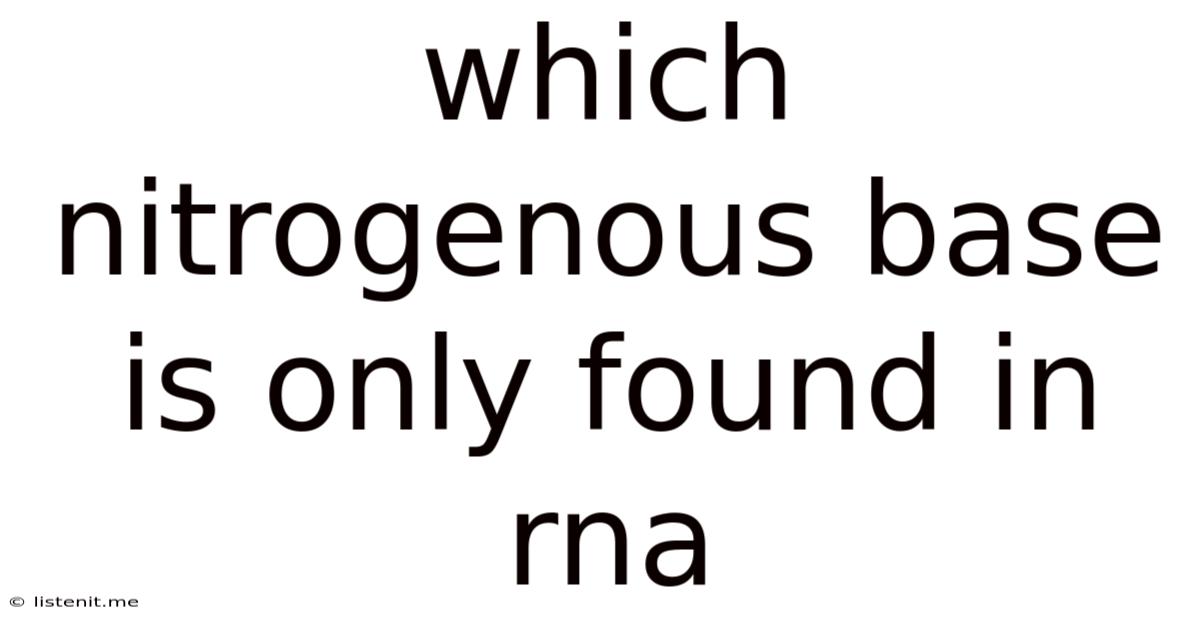 Which Nitrogenous Base Is Only Found In Rna