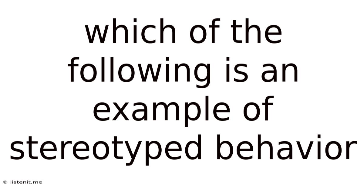 Which Of The Following Is An Example Of Stereotyped Behavior