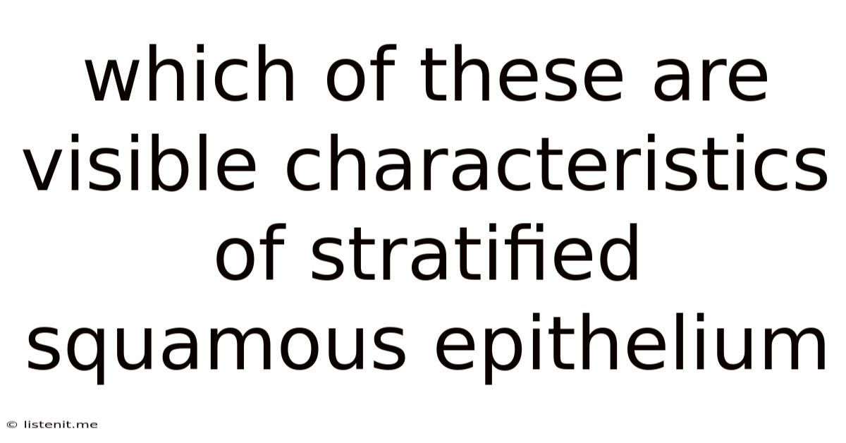 Which Of These Are Visible Characteristics Of Stratified Squamous Epithelium