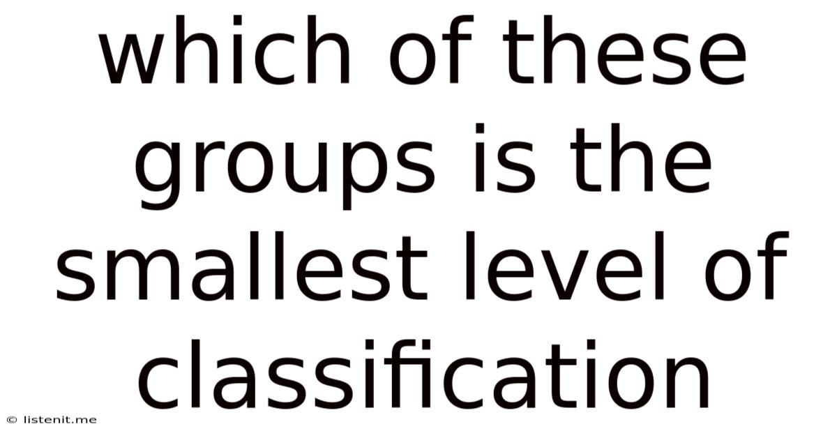 Which Of These Groups Is The Smallest Level Of Classification
