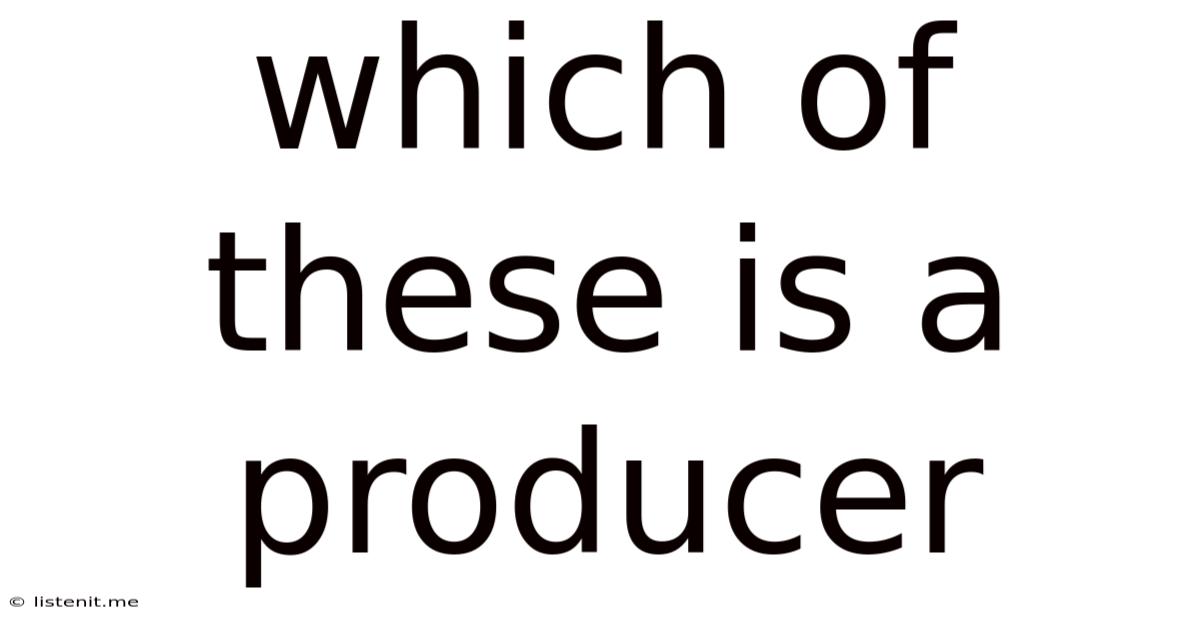 Which Of These Is A Producer