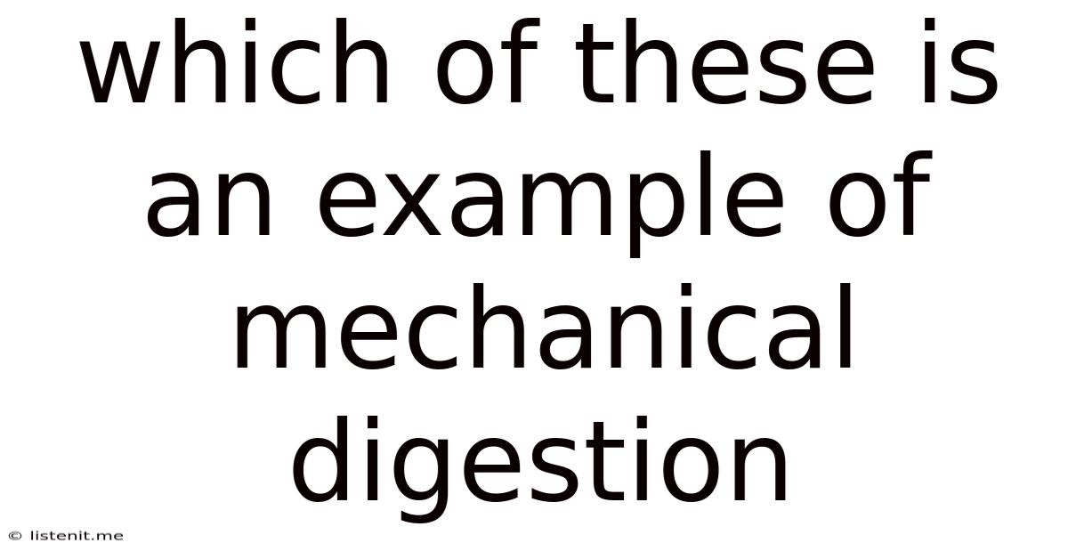Which Of These Is An Example Of Mechanical Digestion