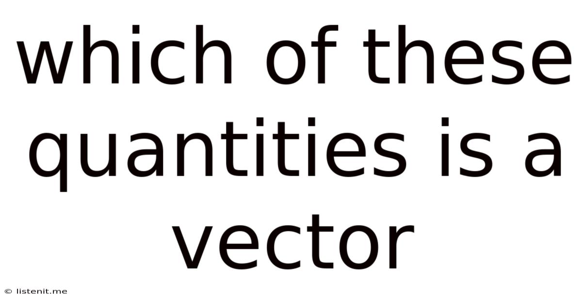 Which Of These Quantities Is A Vector