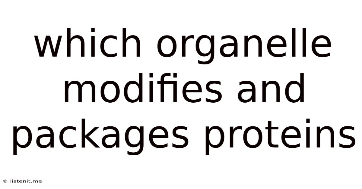 Which Organelle Modifies And Packages Proteins