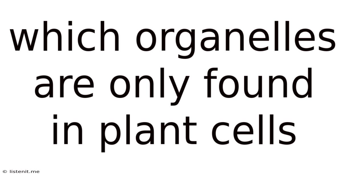 Which Organelles Are Only Found In Plant Cells