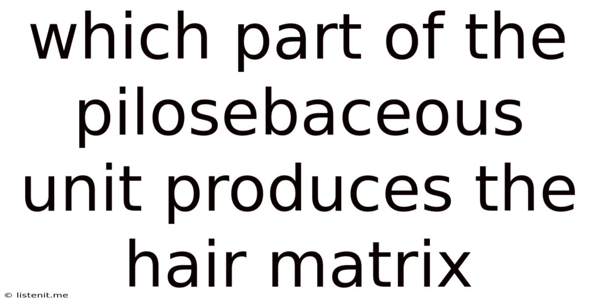Which Part Of The Pilosebaceous Unit Produces The Hair Matrix