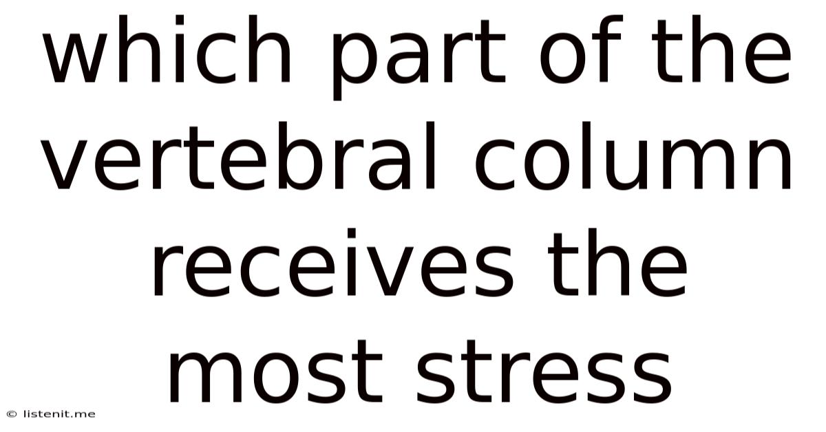 Which Part Of The Vertebral Column Receives The Most Stress