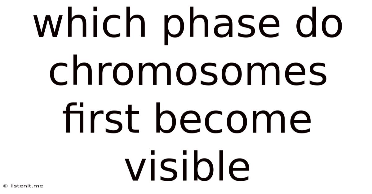 Which Phase Do Chromosomes First Become Visible