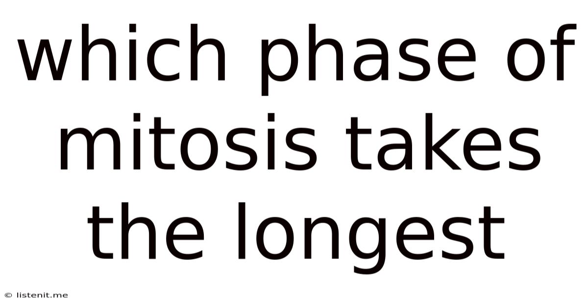 Which Phase Of Mitosis Takes The Longest