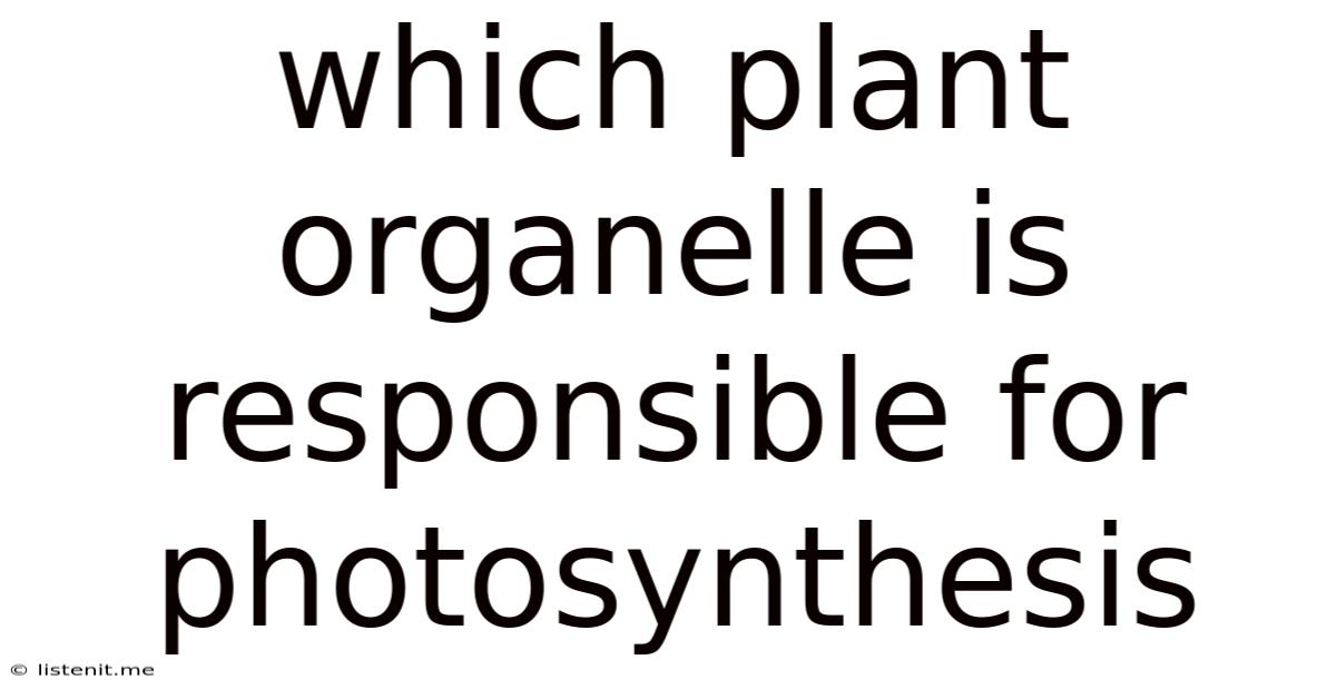 Which Plant Organelle Is Responsible For Photosynthesis
