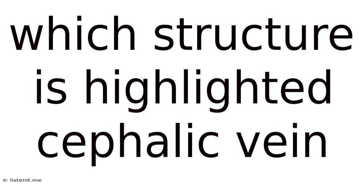 Which Structure Is Highlighted Cephalic Vein