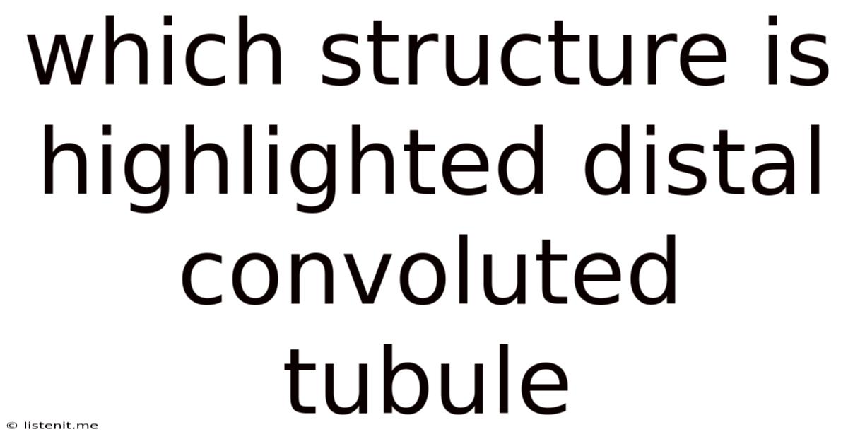 Which Structure Is Highlighted Distal Convoluted Tubule