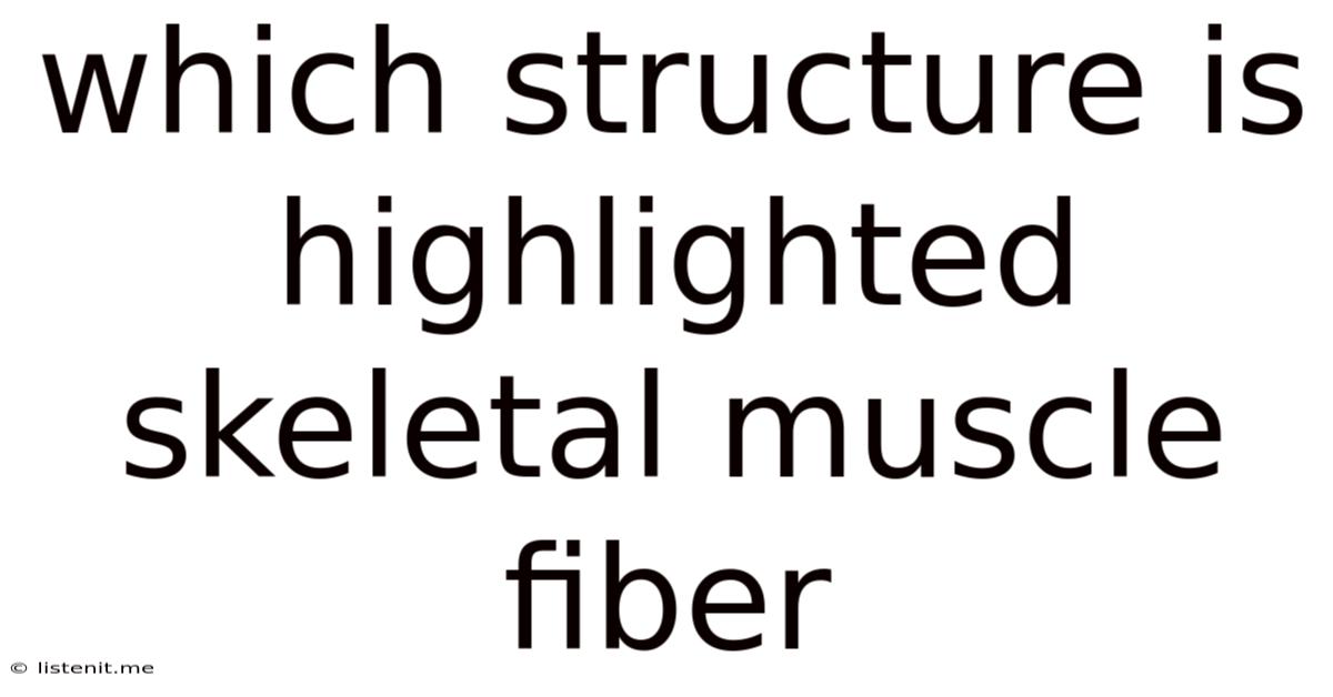 Which Structure Is Highlighted Skeletal Muscle Fiber