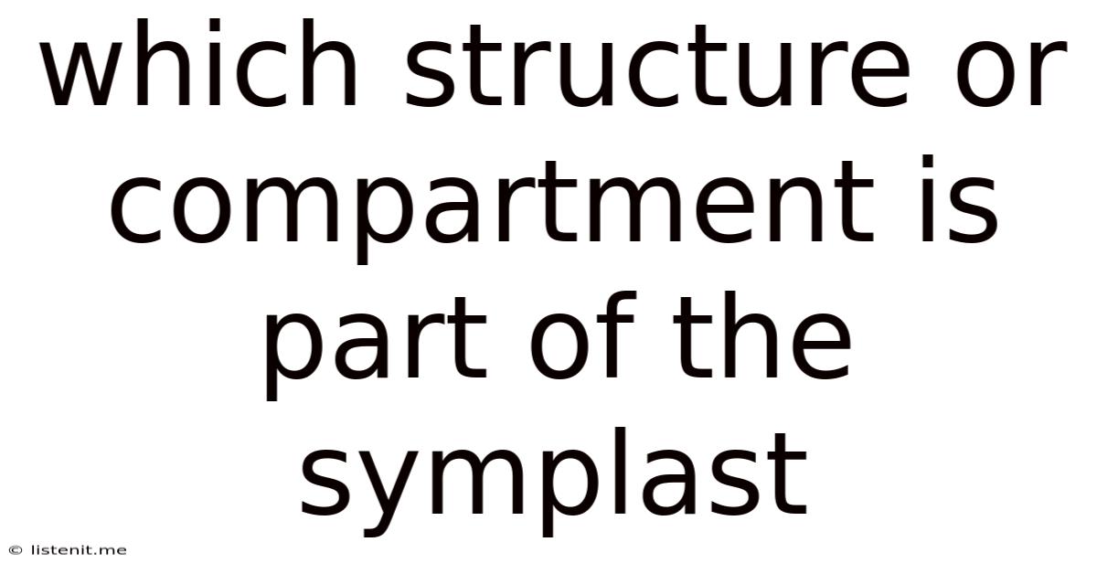 Which Structure Or Compartment Is Part Of The Symplast