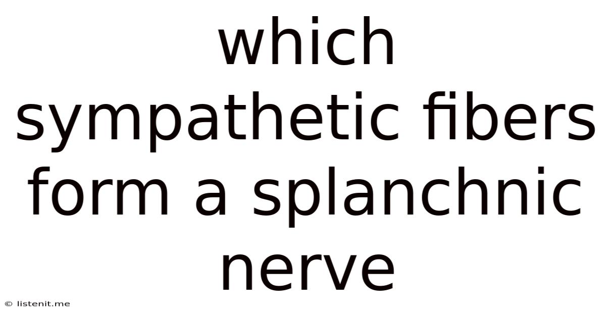 Which Sympathetic Fibers Form A Splanchnic Nerve