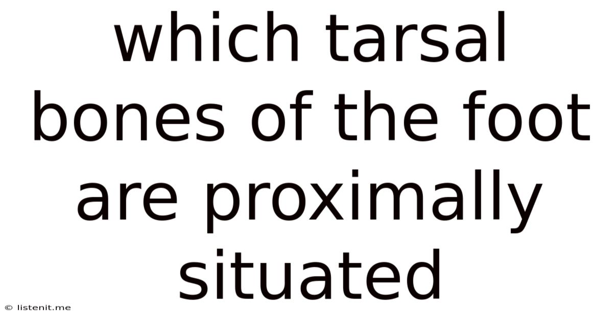 Which Tarsal Bones Of The Foot Are Proximally Situated