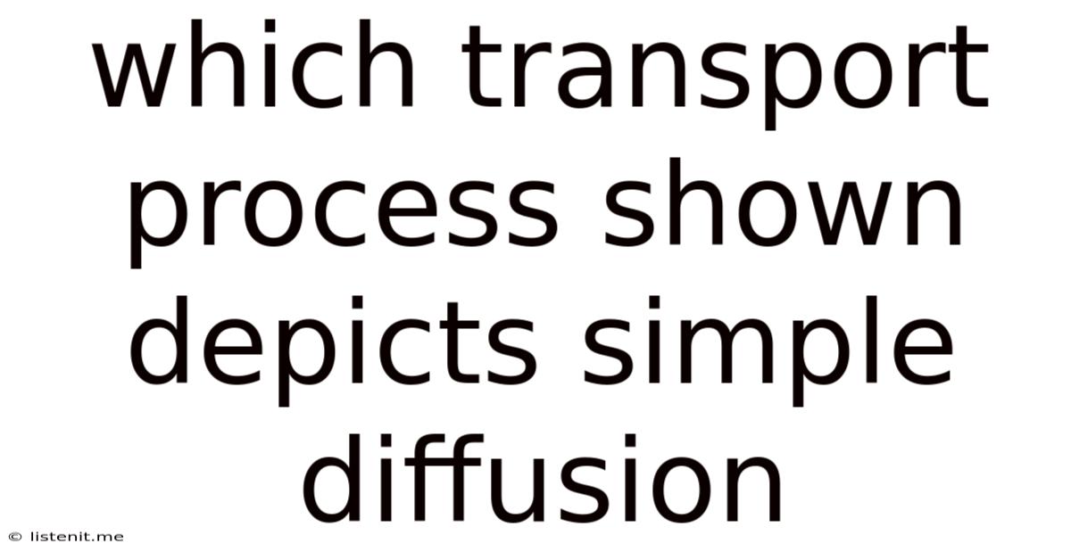 Which Transport Process Shown Depicts Simple Diffusion
