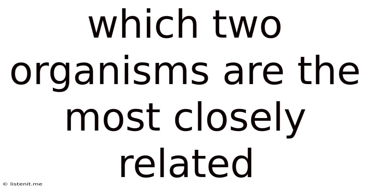 Which Two Organisms Are The Most Closely Related