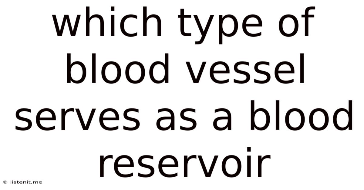 Which Type Of Blood Vessel Serves As A Blood Reservoir