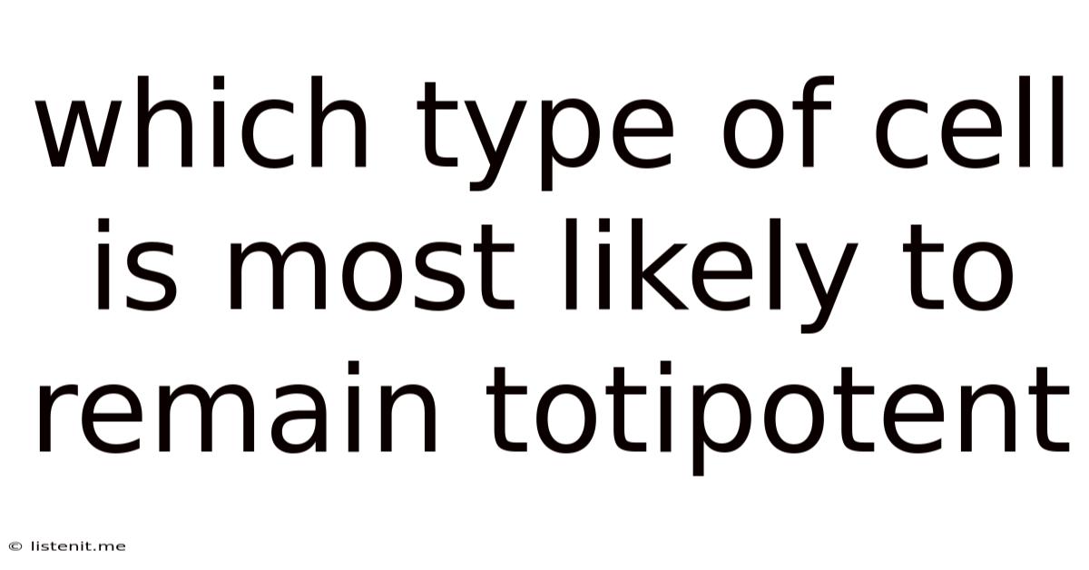 Which Type Of Cell Is Most Likely To Remain Totipotent