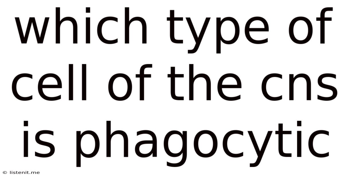 Which Type Of Cell Of The Cns Is Phagocytic