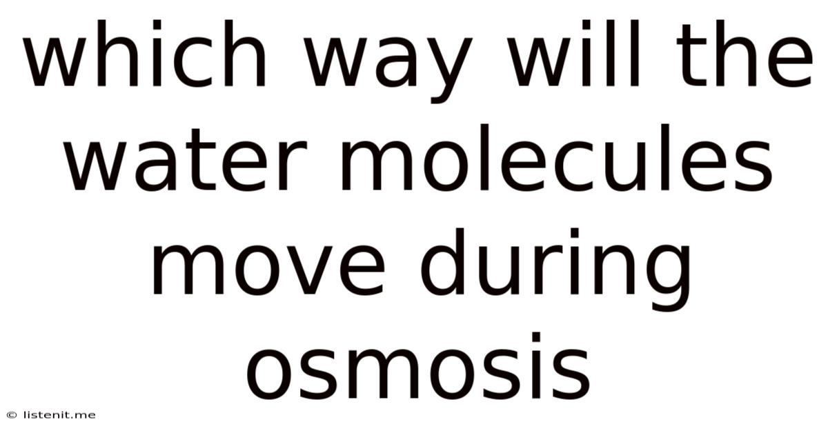 Which Way Will The Water Molecules Move During Osmosis