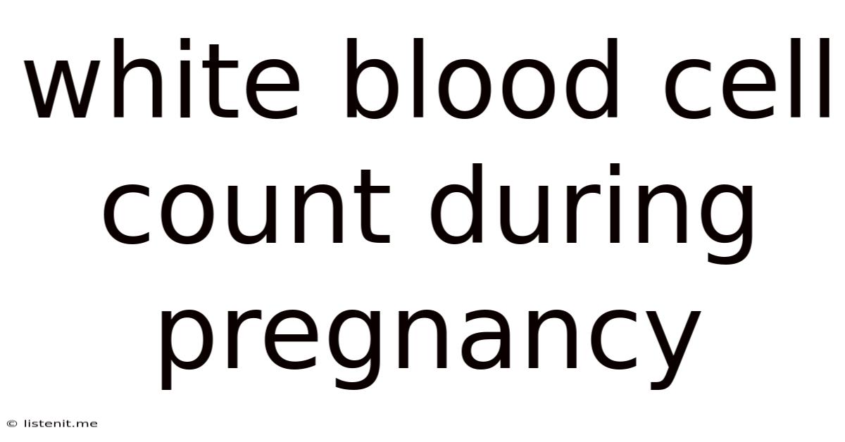 White Blood Cell Count During Pregnancy
