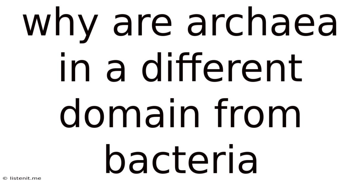 Why Are Archaea In A Different Domain From Bacteria