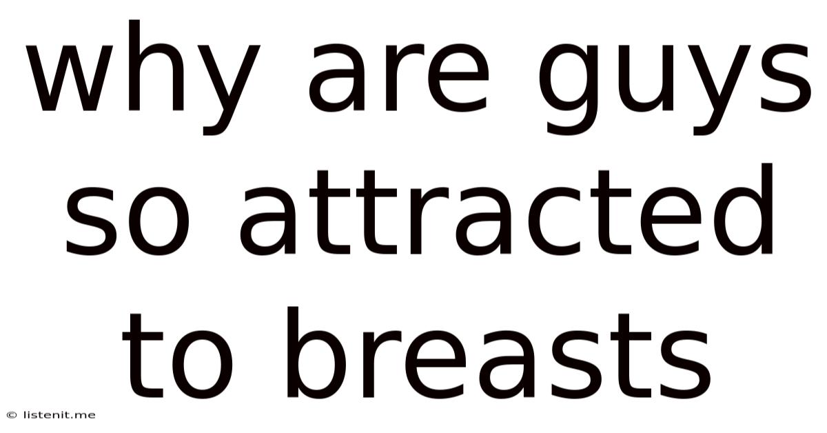 Why Are Guys So Attracted To Breasts