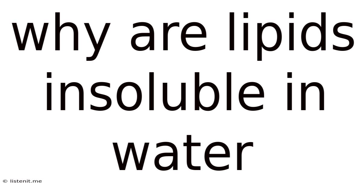 Why Are Lipids Insoluble In Water