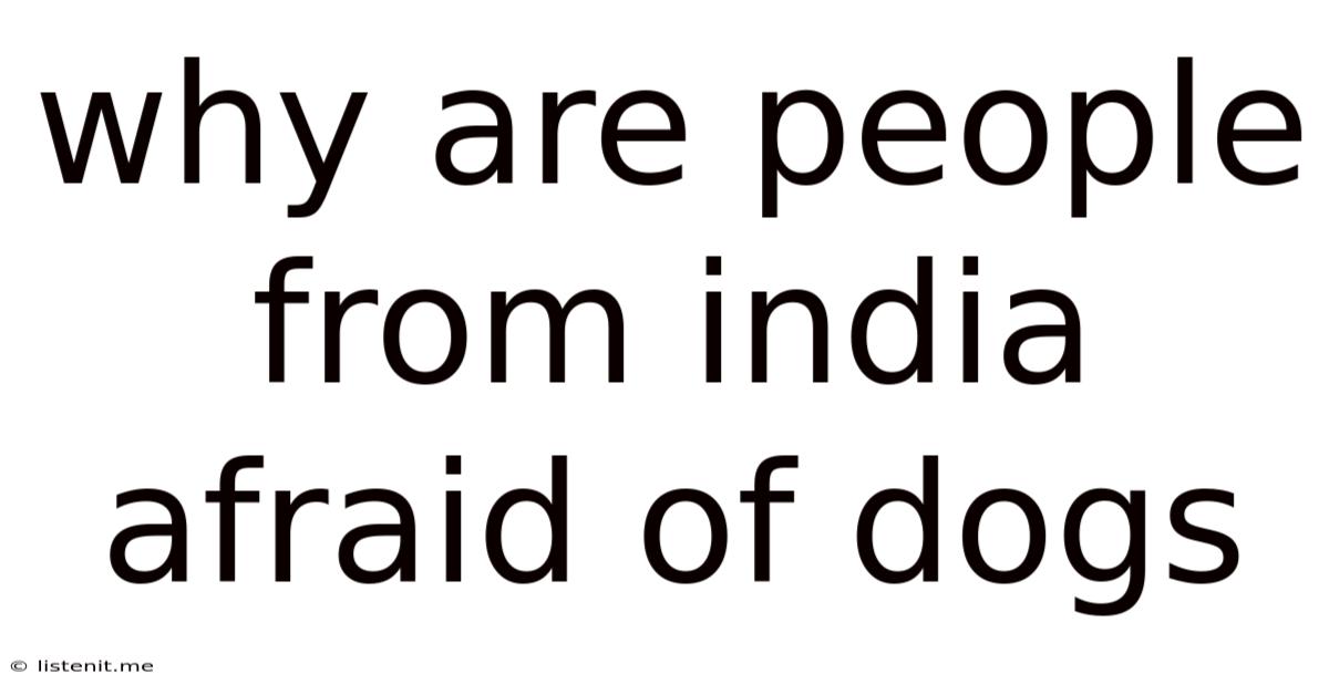 Why Are People From India Afraid Of Dogs
