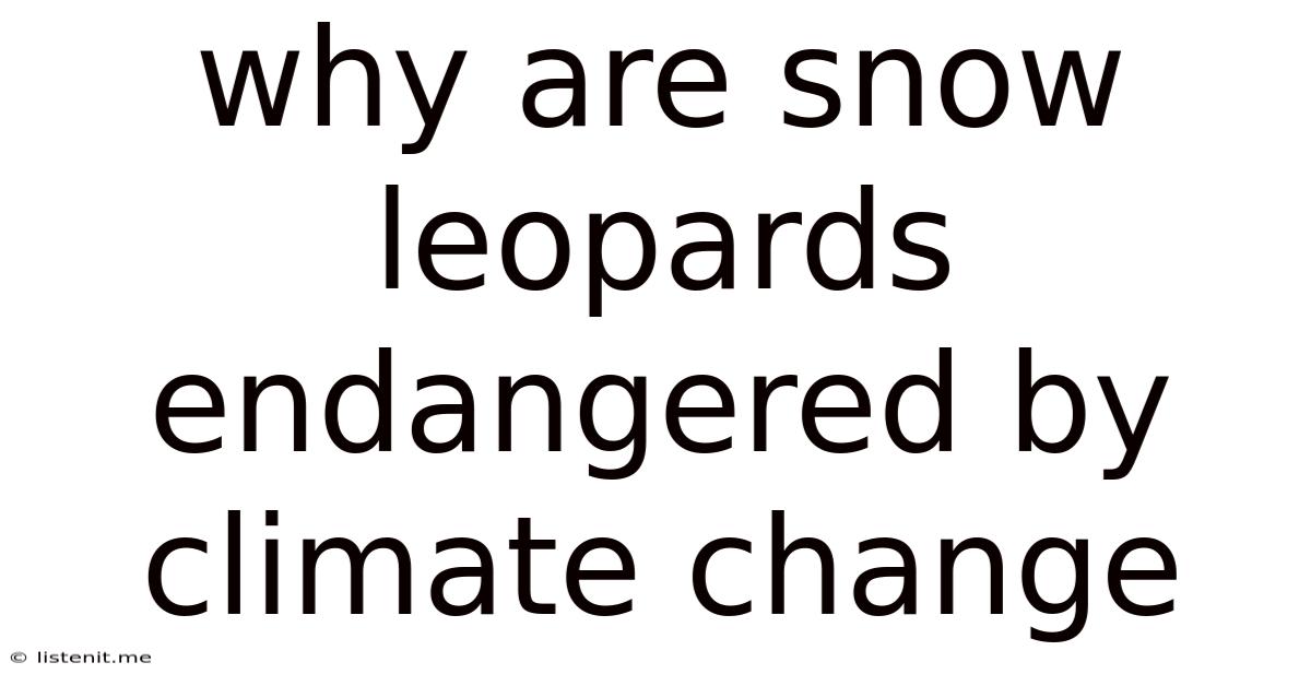 Why Are Snow Leopards Endangered By Climate Change