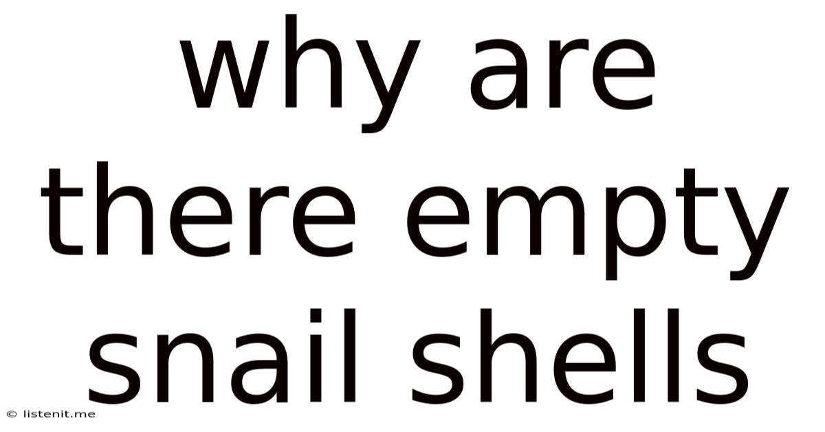 Why Are There Empty Snail Shells