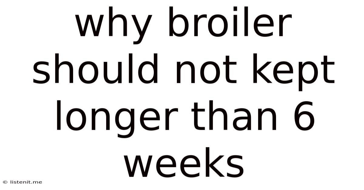Why Broiler Should Not Kept Longer Than 6 Weeks