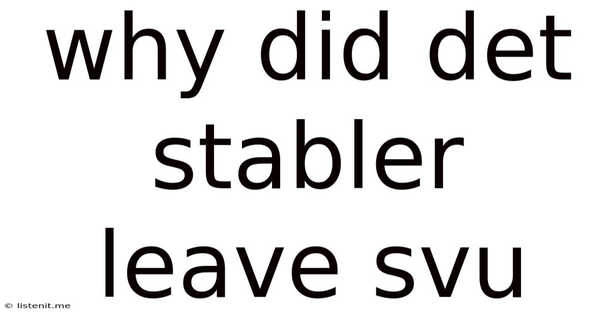Why Did Det Stabler Leave Svu