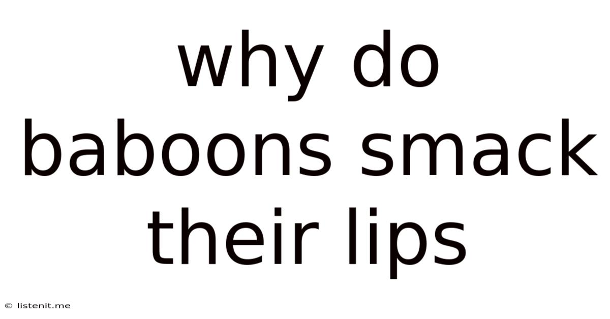 Why Do Baboons Smack Their Lips