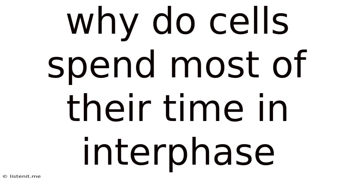 Why Do Cells Spend Most Of Their Time In Interphase