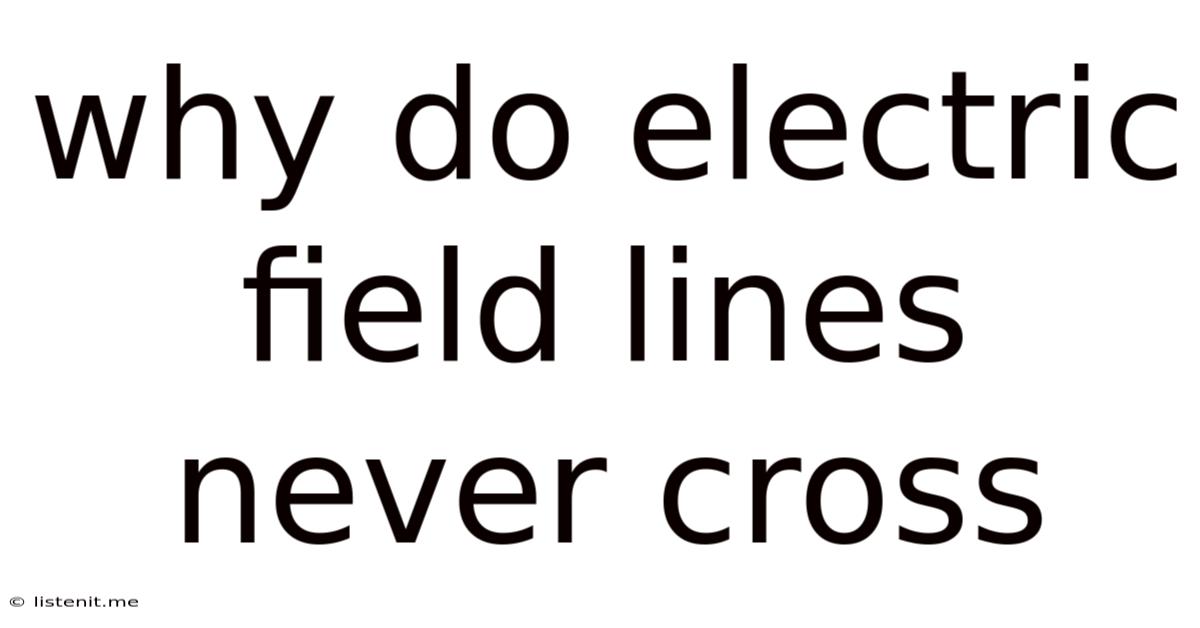 Why Do Electric Field Lines Never Cross