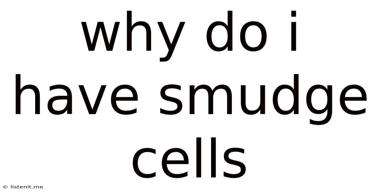 Why Do I Have Smudge Cells