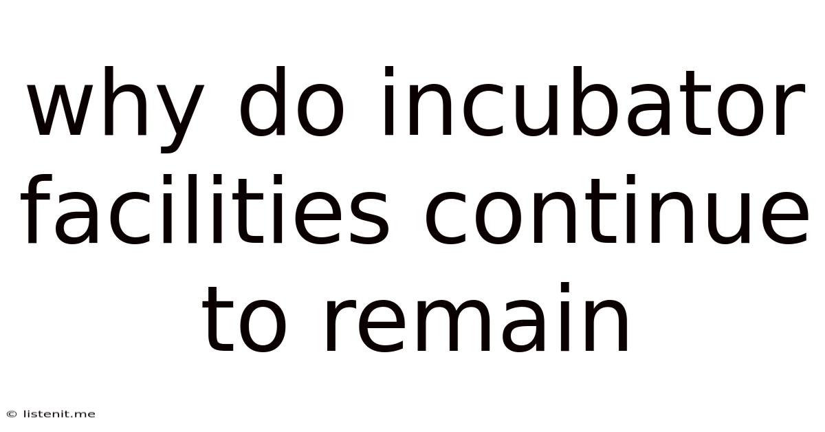 Why Do Incubator Facilities Continue To Remain