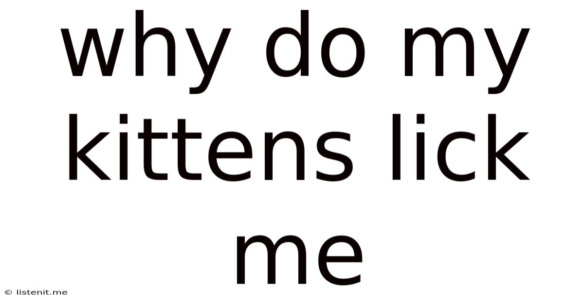 Why Do My Kittens Lick Me