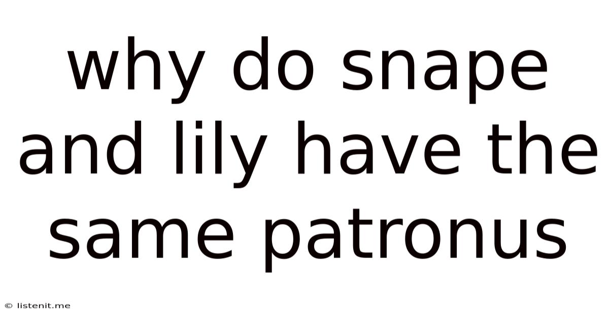 Why Do Snape And Lily Have The Same Patronus