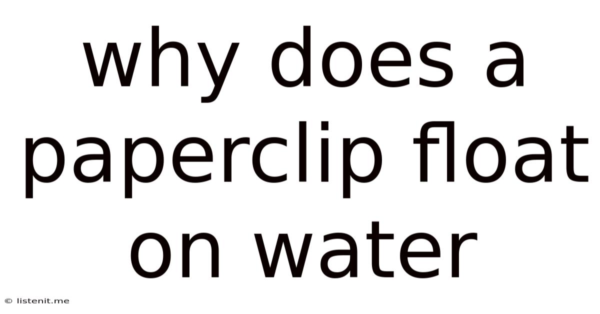 Why Does A Paperclip Float On Water