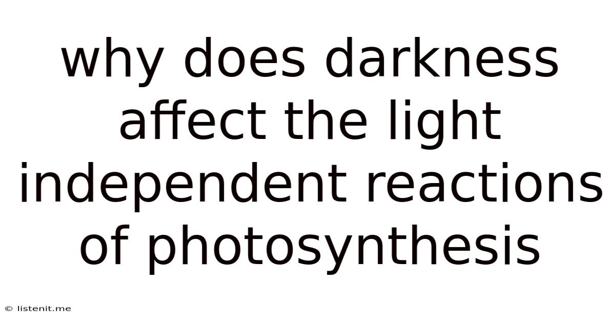 Why Does Darkness Affect The Light Independent Reactions Of Photosynthesis