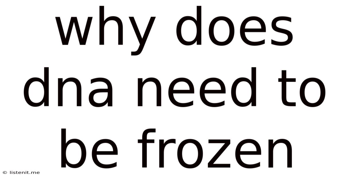 Why Does Dna Need To Be Frozen