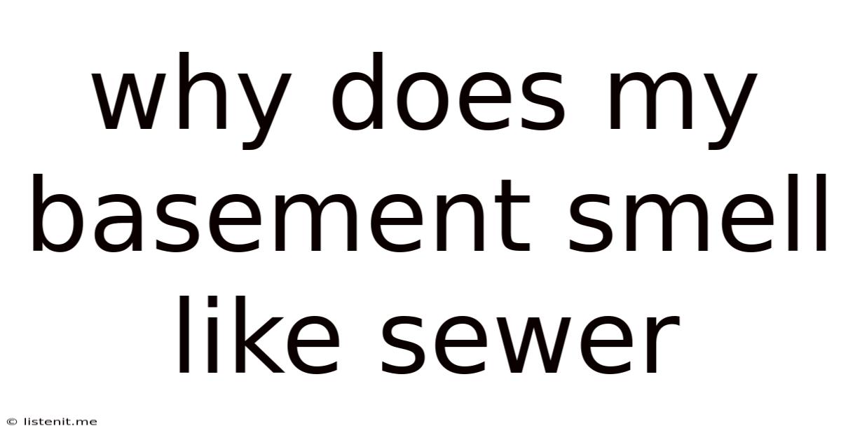 Why Does My Basement Smell Like Sewer