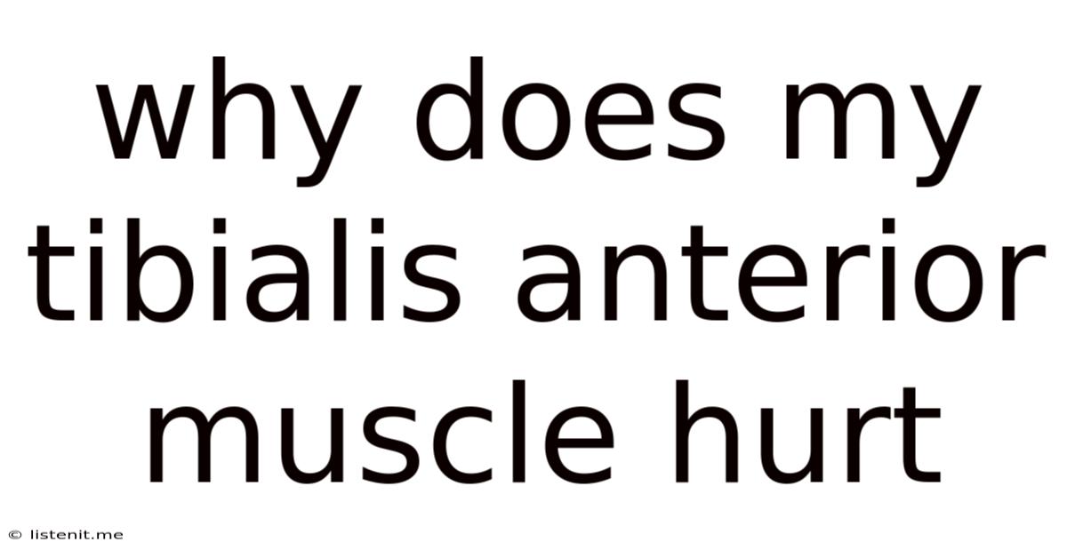 Why Does My Tibialis Anterior Muscle Hurt
