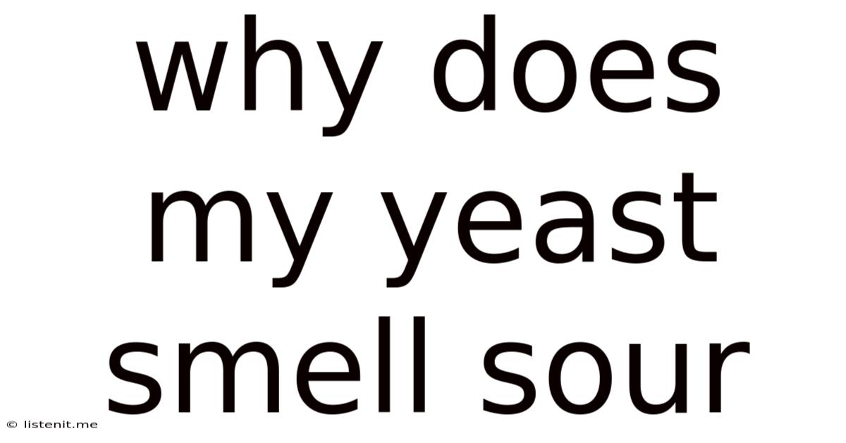 Why Does My Yeast Smell Sour