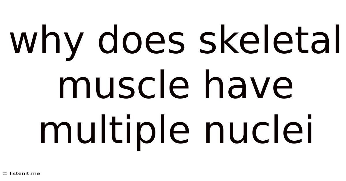 Why Does Skeletal Muscle Have Multiple Nuclei