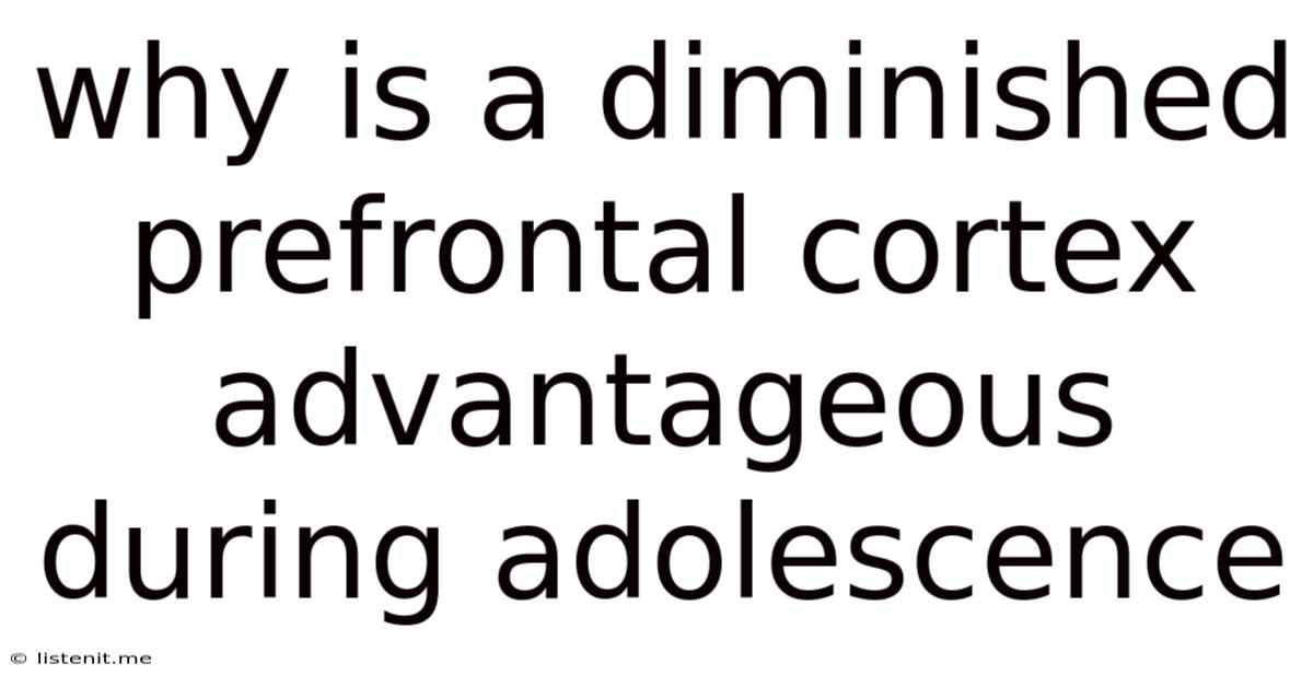 Why Is A Diminished Prefrontal Cortex Advantageous During Adolescence